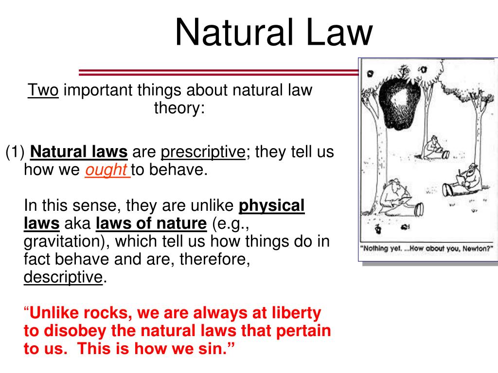 Law topics