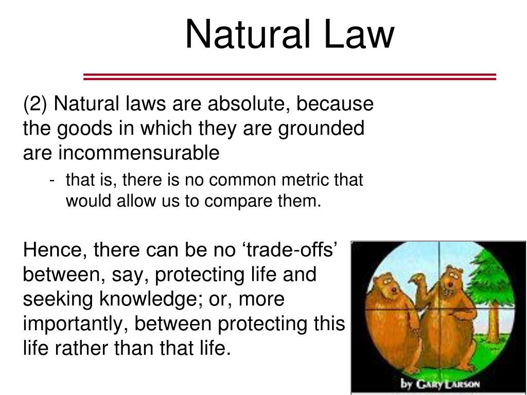 Natural law. Natural Law Theory. Laws of nature examples. Divine Command Theory Critics. Critics of natural Law Ethics Divine Command.