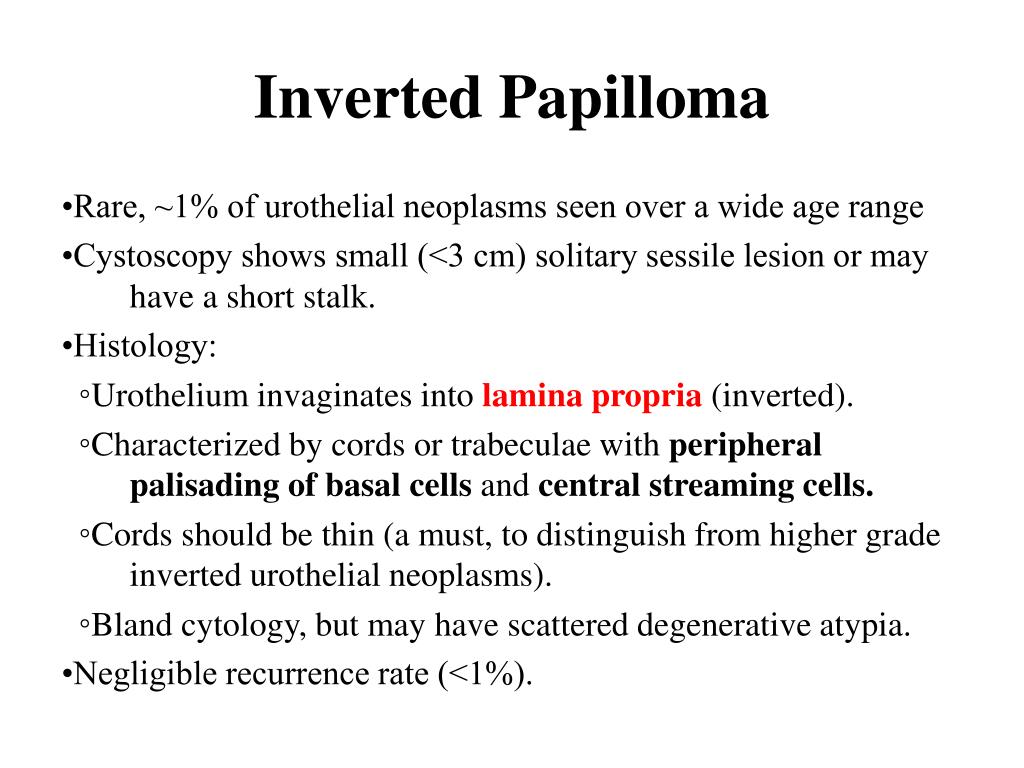 inverted papilloma bladder