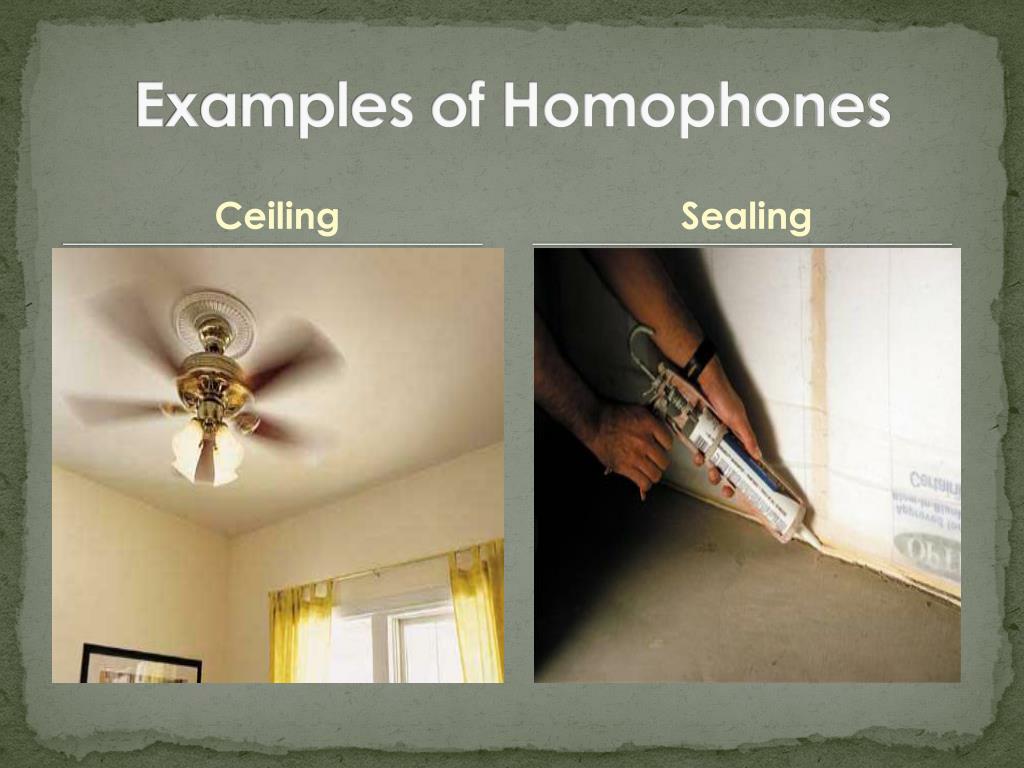 Ppt Homophones Powerpoint Presentation Free Download Id 2765073