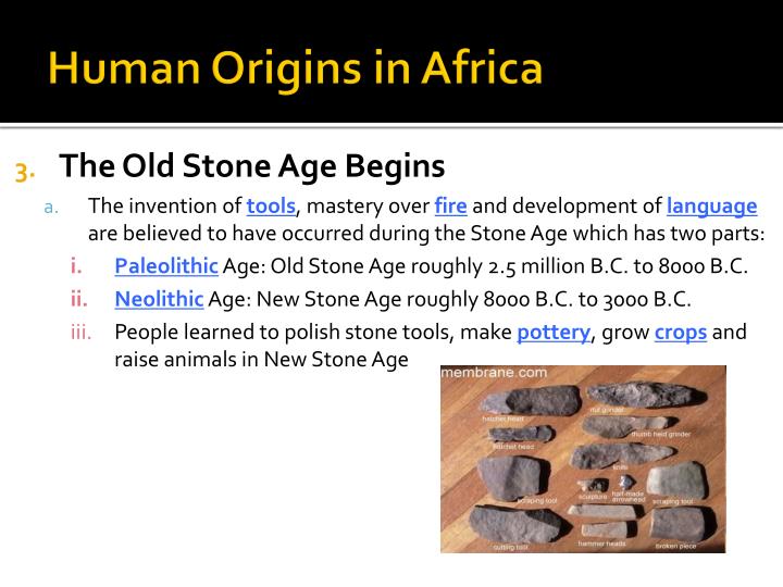 ch-1-human-origins-in-africa-by-johanna-french