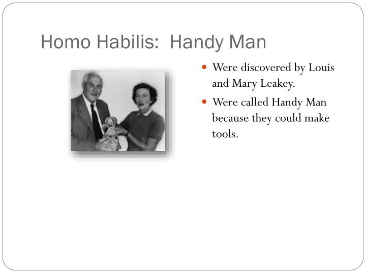 PPT - Early Hominids PowerPoint Presentation - ID:2765822