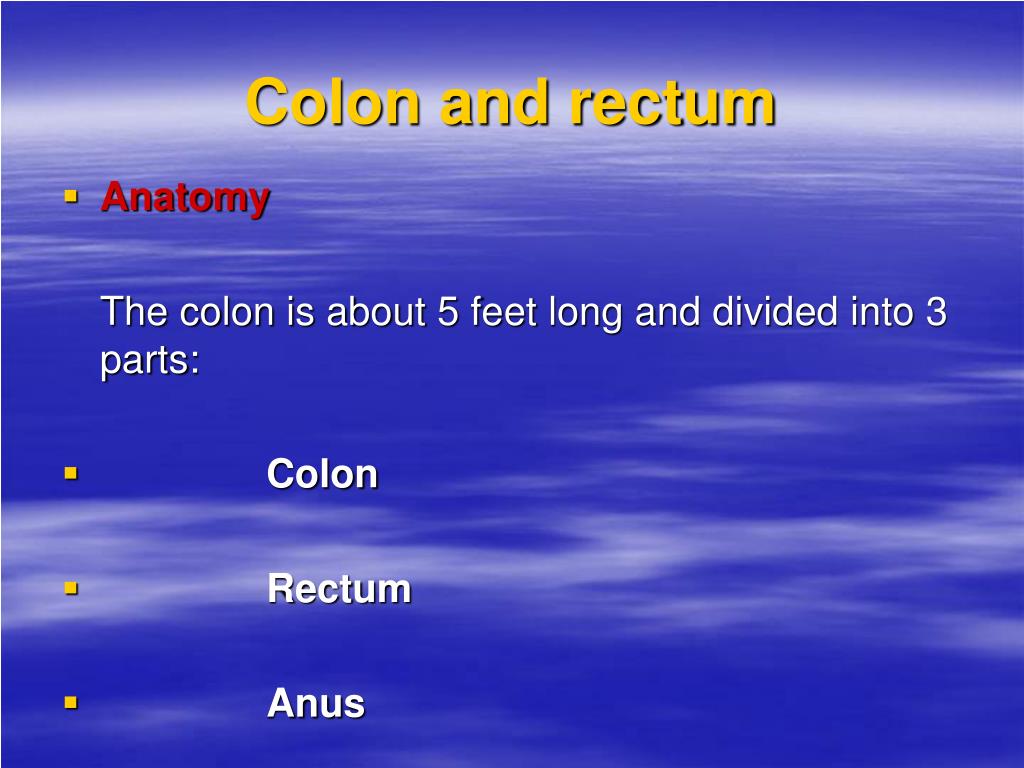 Anatomy PowerPoint Presentation, free download Biology Diagrams