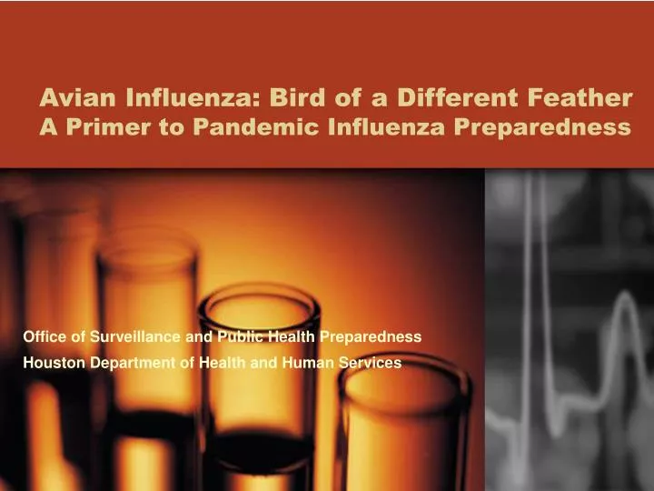 avian influenza bird of a different feather a primer to pandemic influenza preparedness n.