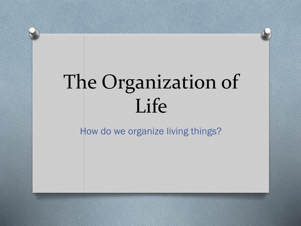 PPT - The Organization of Life PowerPoint Presentation, free download -  ID:2768091