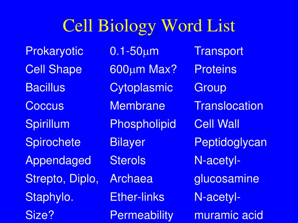 ppt-cell-biology-powerpoint-presentation-free-download-id-2768111