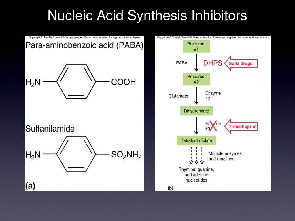 80 синтез. Nucleic acid. Degradation of Nucleic acids. Adenoidine Nucleic acid. Синтез нуклеиновых кислот.