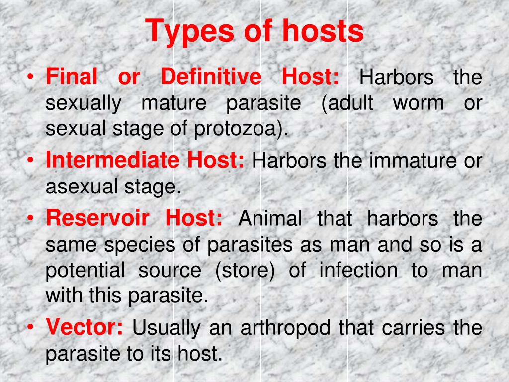 PPT Medical Parasitology & Pathology PowerPoint Presentation ID2768724