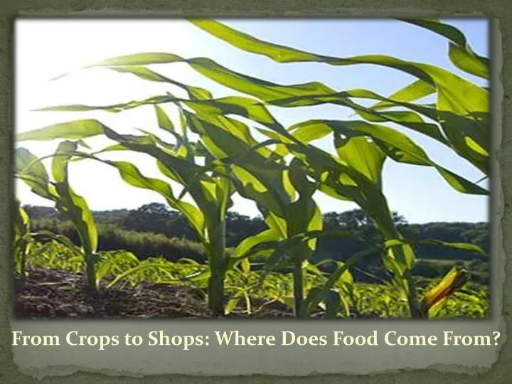 from crops to shops where does food come from n.