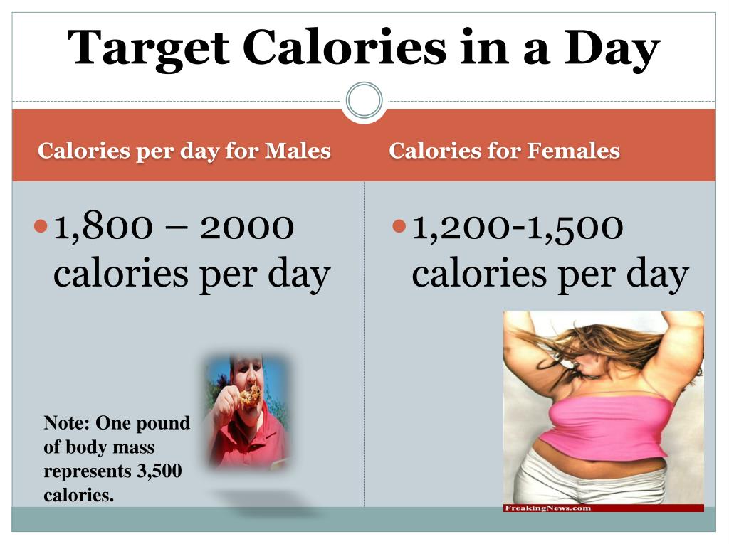 800 calorias al dia