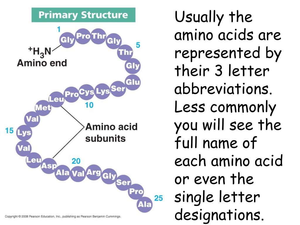 amino acid single letter abbreviations