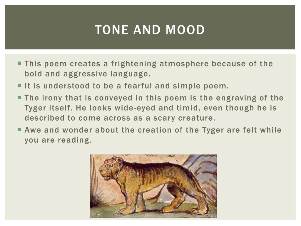 what does the tyger symbolize