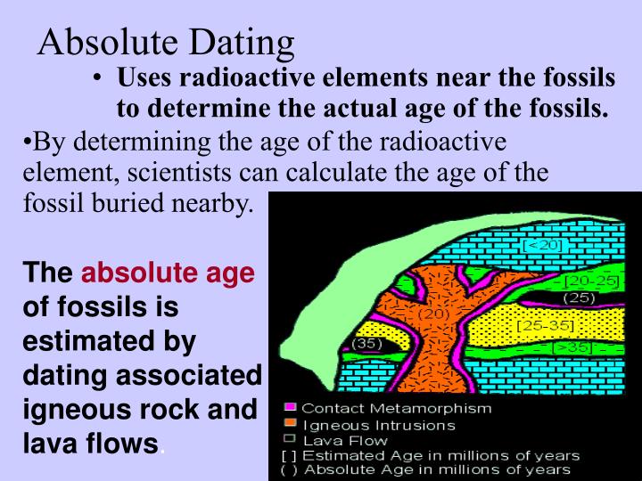 absolute age of fossils