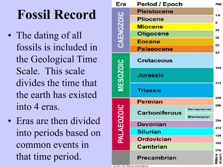 PPT Fossils & The Geologic Time Scale PowerPoint Presentation ID