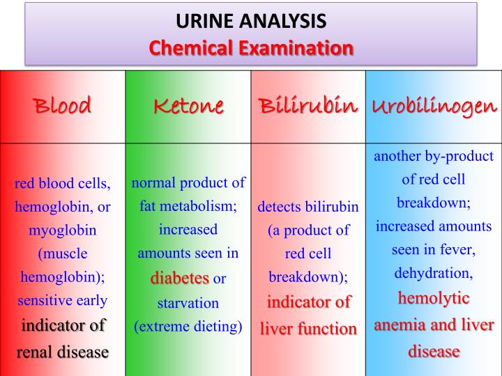 PPT Urinalysis PowerPoint Presentation ID2773692