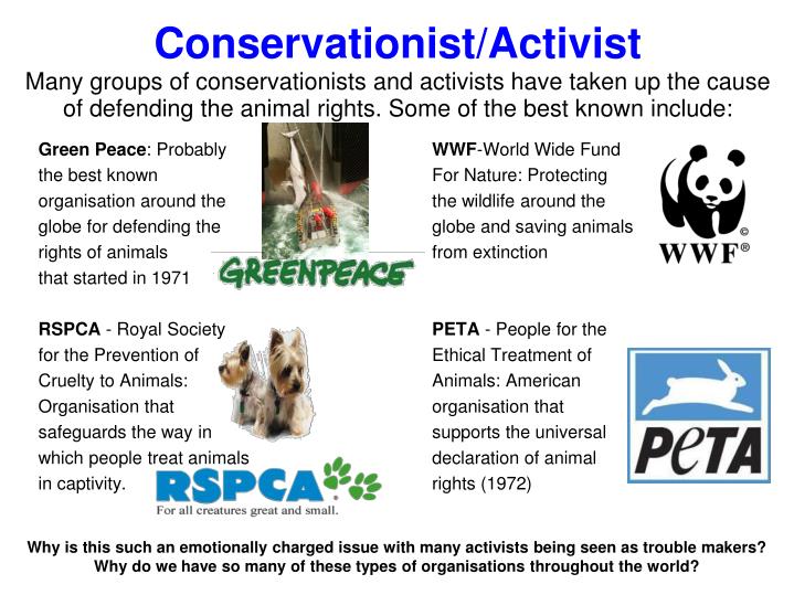 PPT - Animal Rights PowerPoint Presentation - ID:2774963