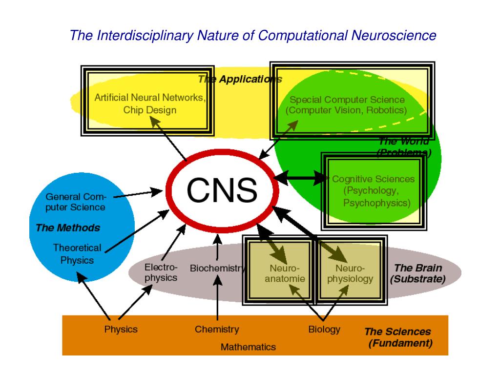 computational neuroscience phd requirements