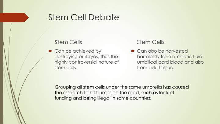 stem cell technology the controversies surrounding Home the controversy over stem cell research, may 27, 2001 november 19, 2014 what i've described is referred to as adult stem cells there is no controversy revolving around the use of human adult stem cells in research. stem cell technology the controversies surrounding Home the controversy over stem cell research, may 27, 2001 november 19, 2014 what i've described is referred to as adult stem cells there is no controversy revolving around the use of human adult stem cells in research.