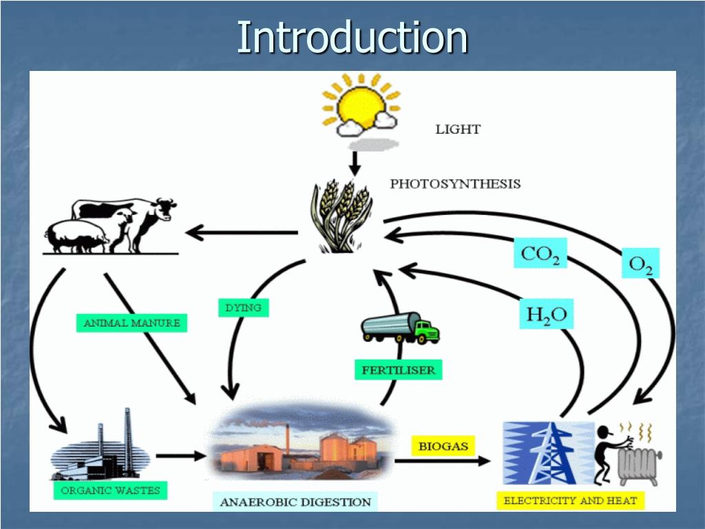 PPT - Anaerobic Co-digestion of Biomass for Methane Production : Recent ...