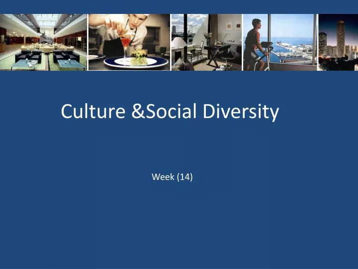 culture social diversity n.