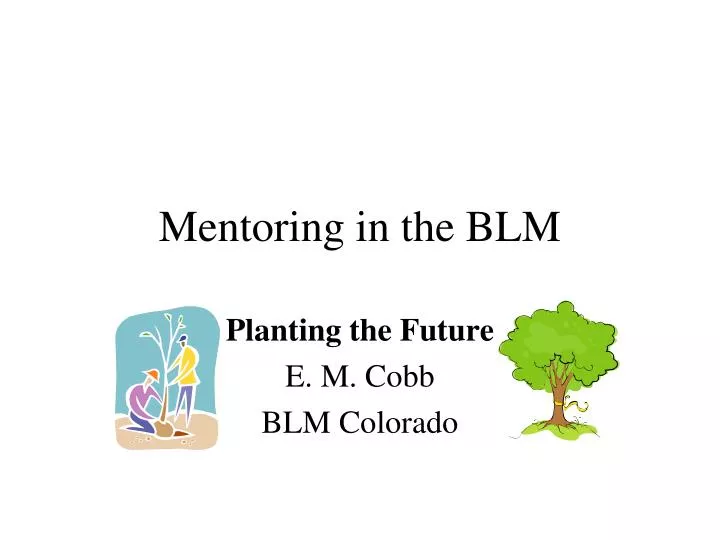 mentoring in the blm n.