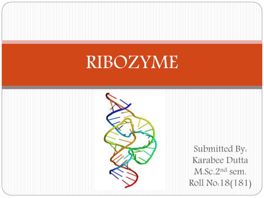 Ribozyme definition sale