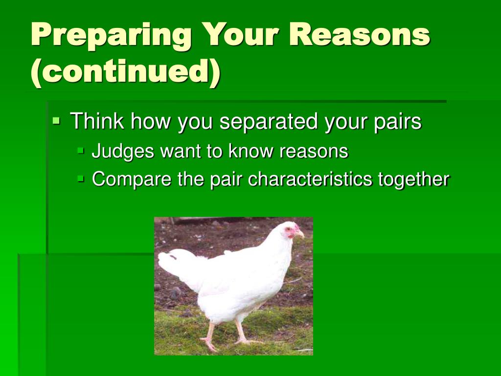PPT Preparing and Giving Oral Reasons for Poultry Judging