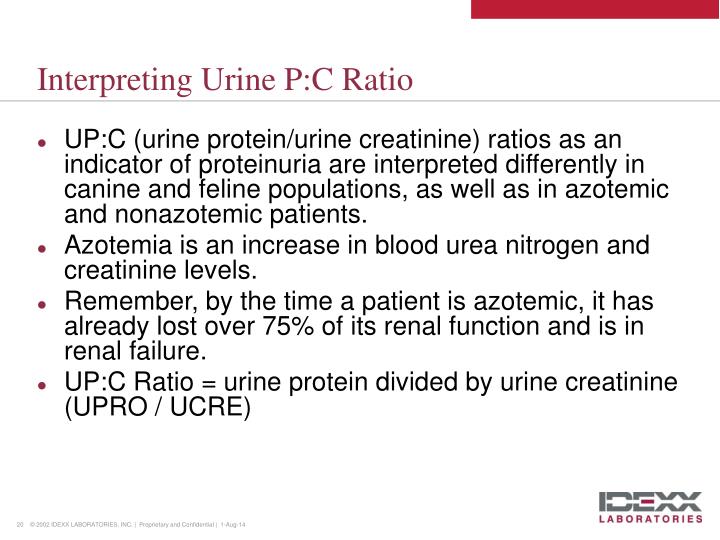PPT Urine Protein Creatinine Ratio PowerPoint Presentation ID2778614