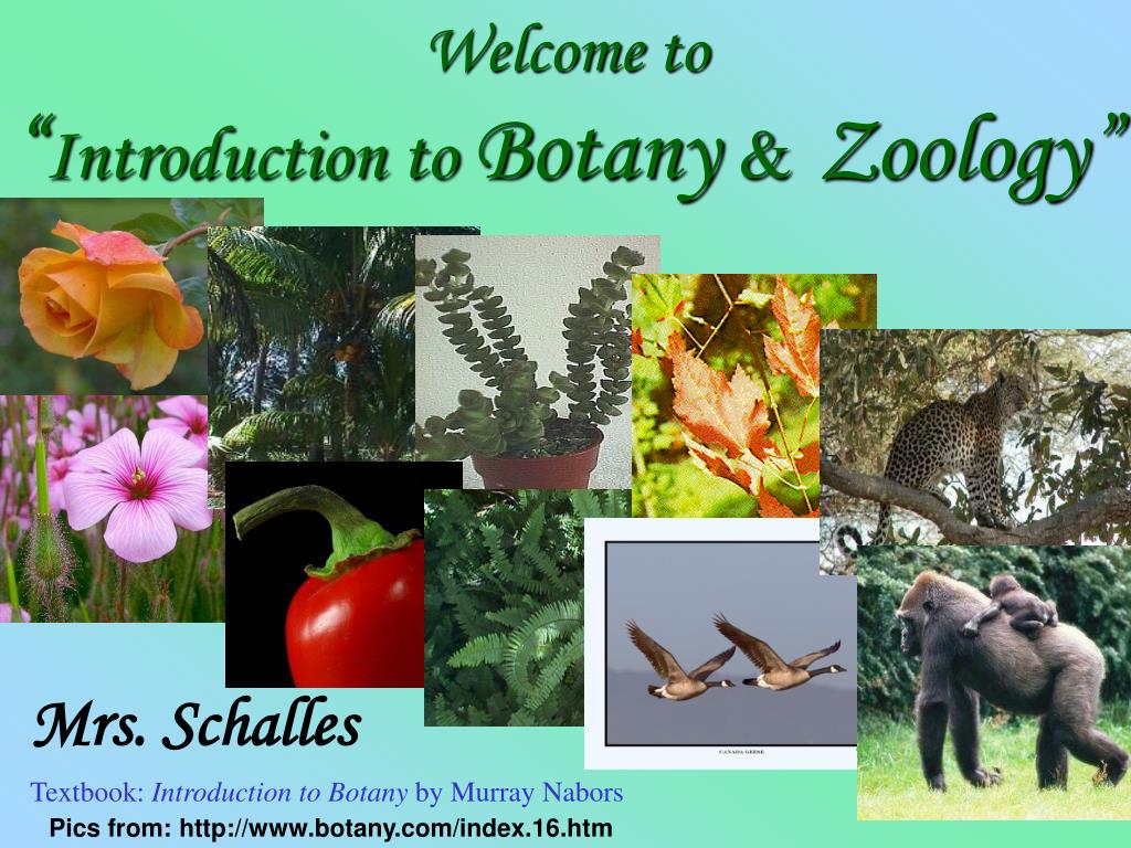 Featured image of post Botany Zoology Wallpaper Redefine learning with smart botanies found only at alibaba com