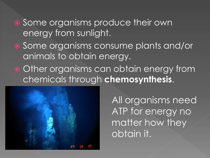 chemosynthesis occur chemosynthesis occur