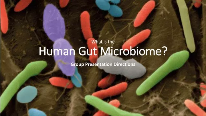 Ppt What Is The Human Gut Microbiome Powerpoint Presentation Free