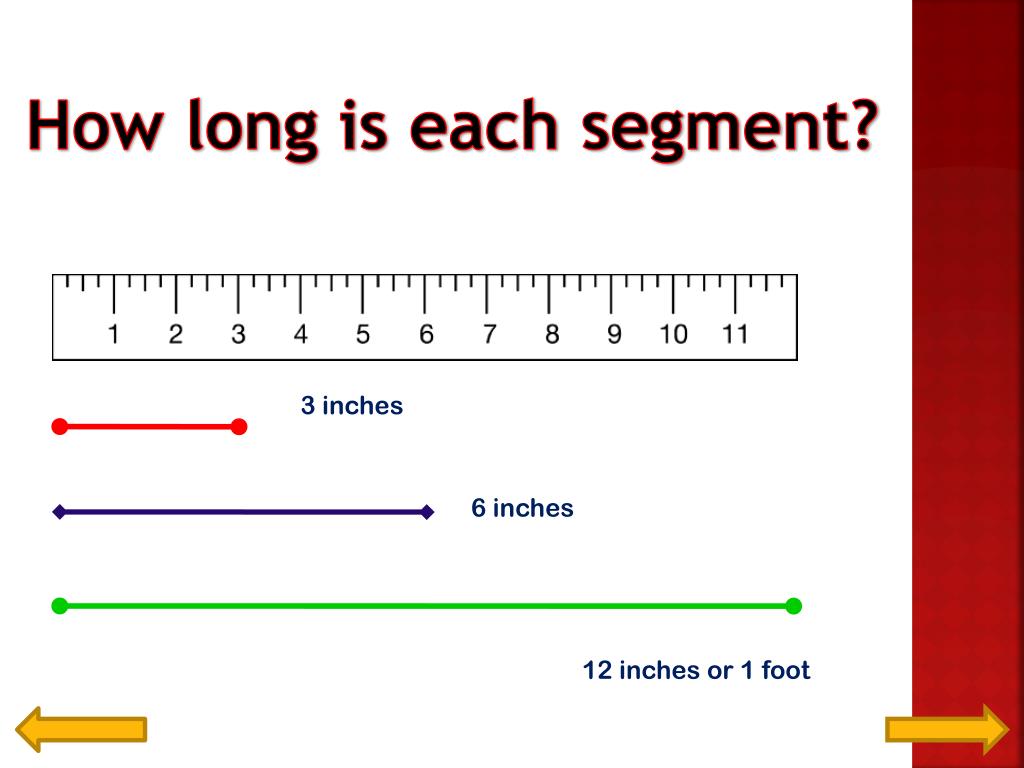 PPT Measuring In Inches PowerPoint Presentation Free Download ID 