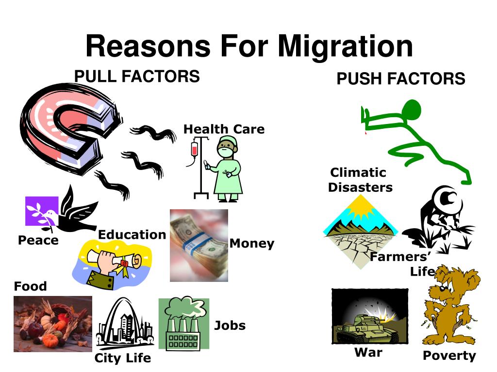 reasons for migration essay