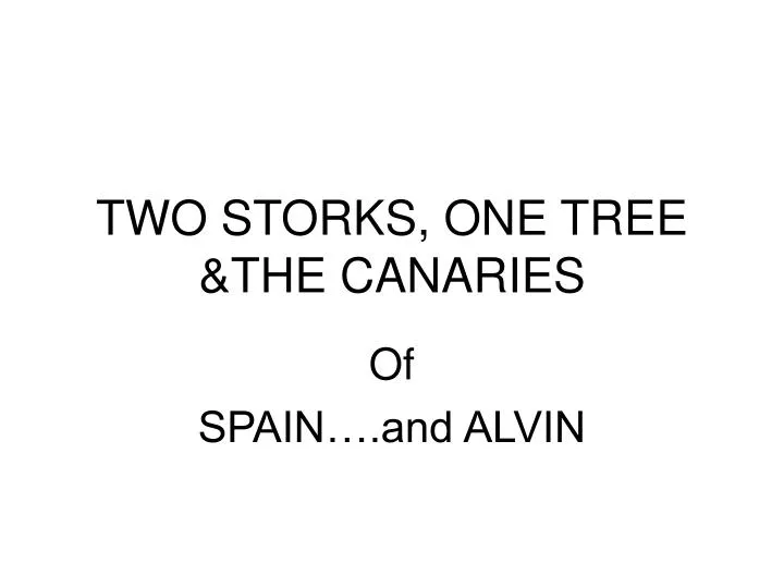 two storks one tree the canaries n.