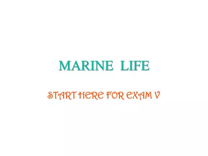 marine life n.