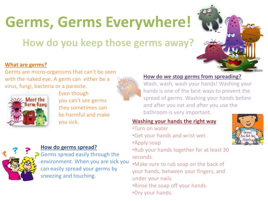 Germs перевод. Germs 1999. Germ перевод. What are Germs? Книга цена. Germ Sheets.