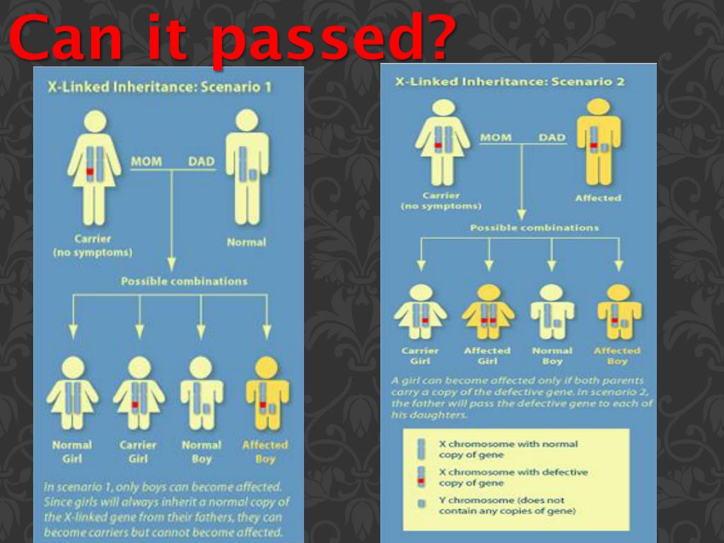 PPT - Severe combined immune deficiency syndrome (SCID, SCIDS, XSCID