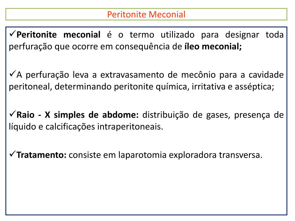 PPT - UNIVERSIDADE CATÓLICA DE BRASÍLIA INTERNATO DE PRÁTICAS EM ...