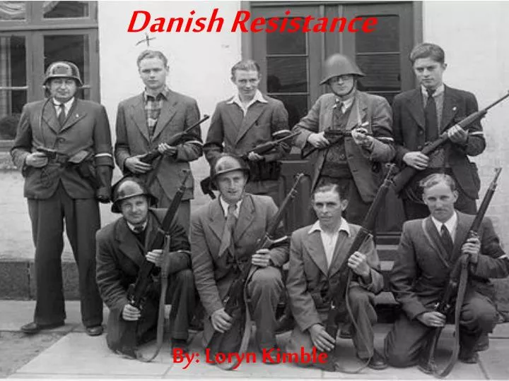danish resistance n.