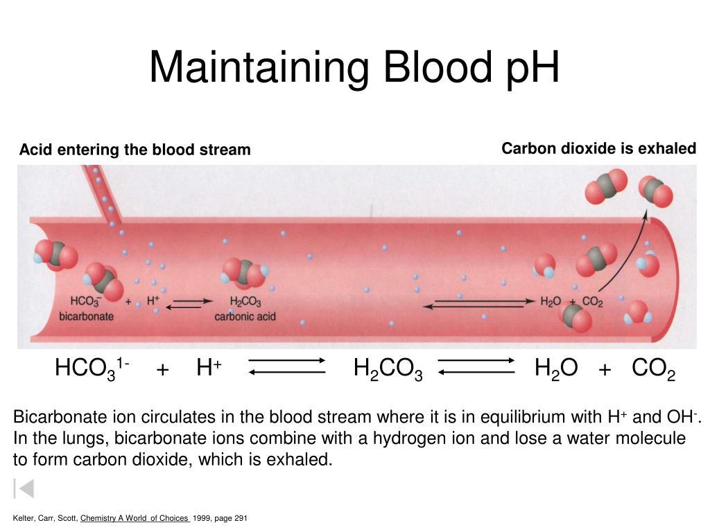 how to reduce carbon dioxide levels in blood
