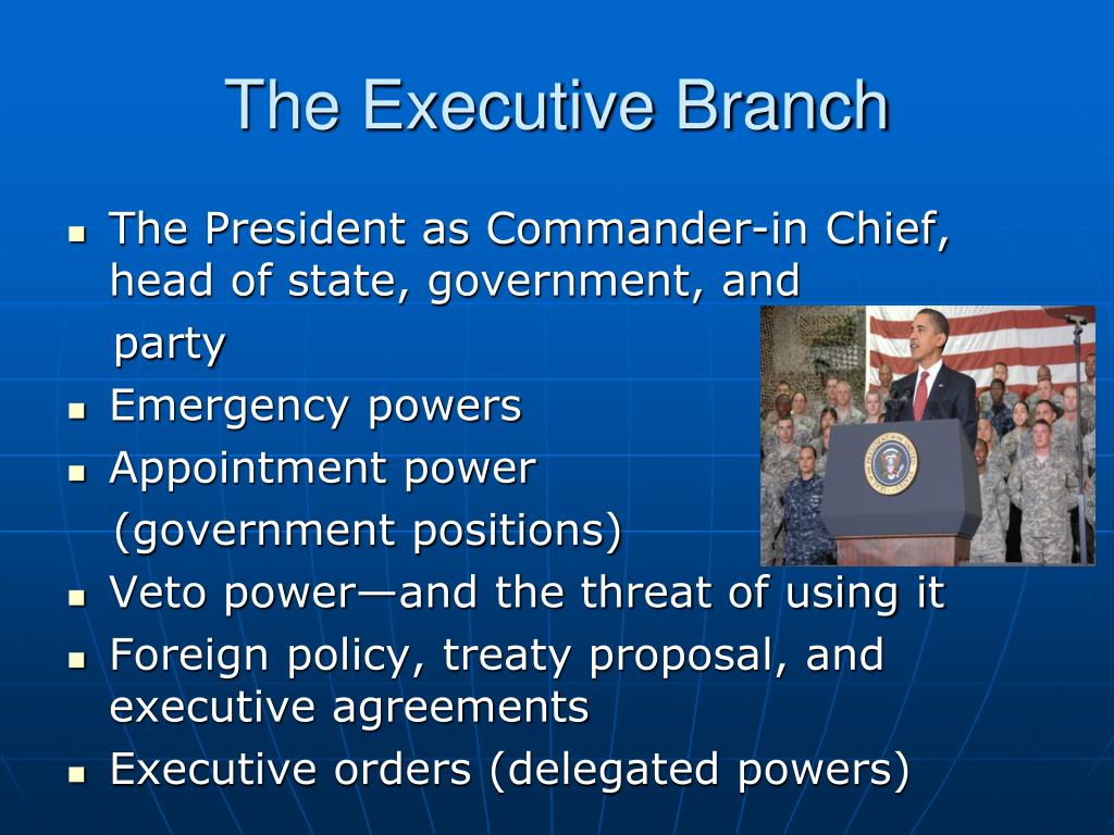 history of the executive branch essay