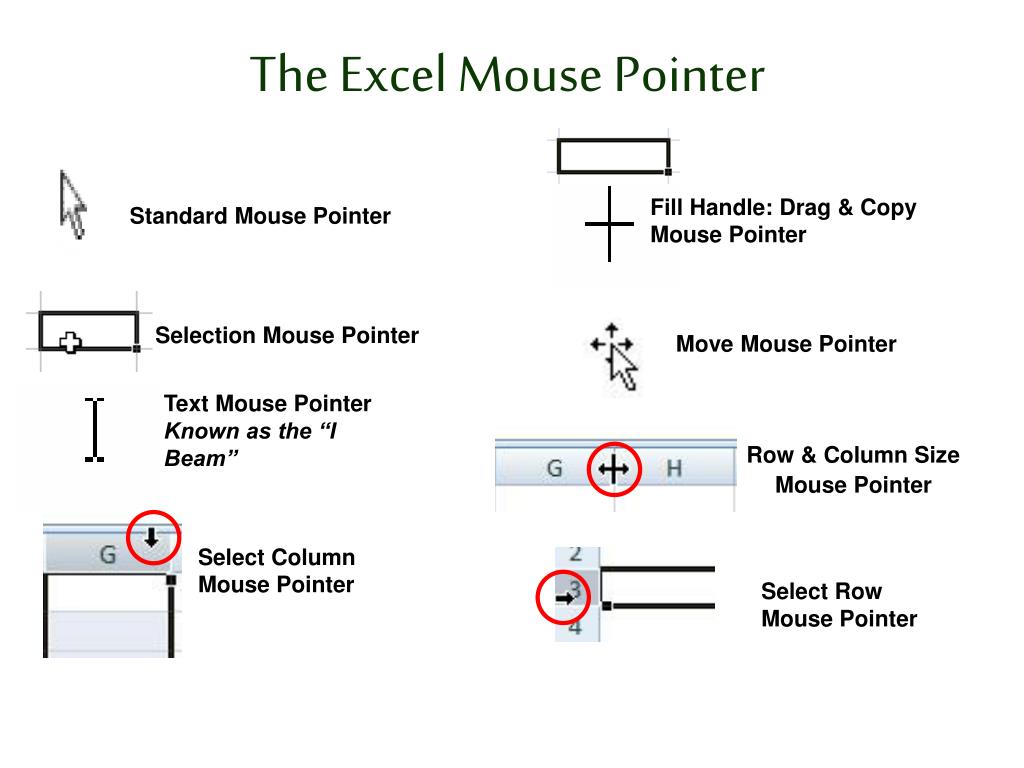 PPT - Introduction to Excel 2010 PowerPoint Presentation, free download -  ID:2790451