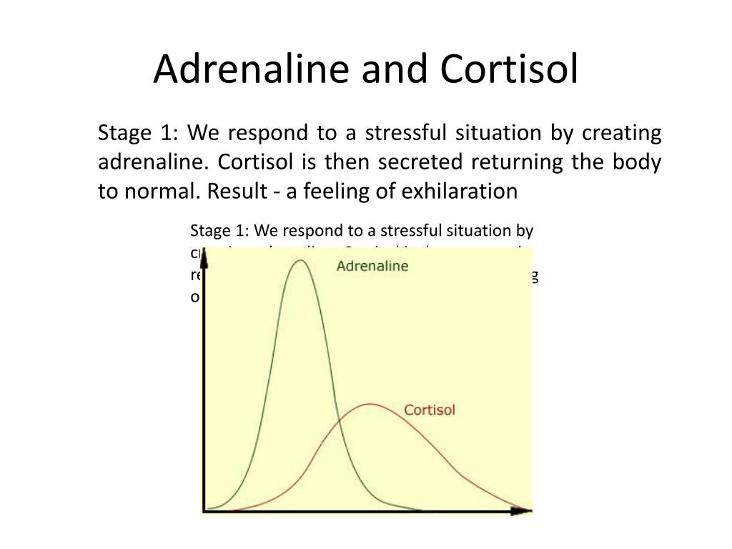 Modeling the Adrenaline and Cortisol Example PowerPoint ... Biology Diagrams