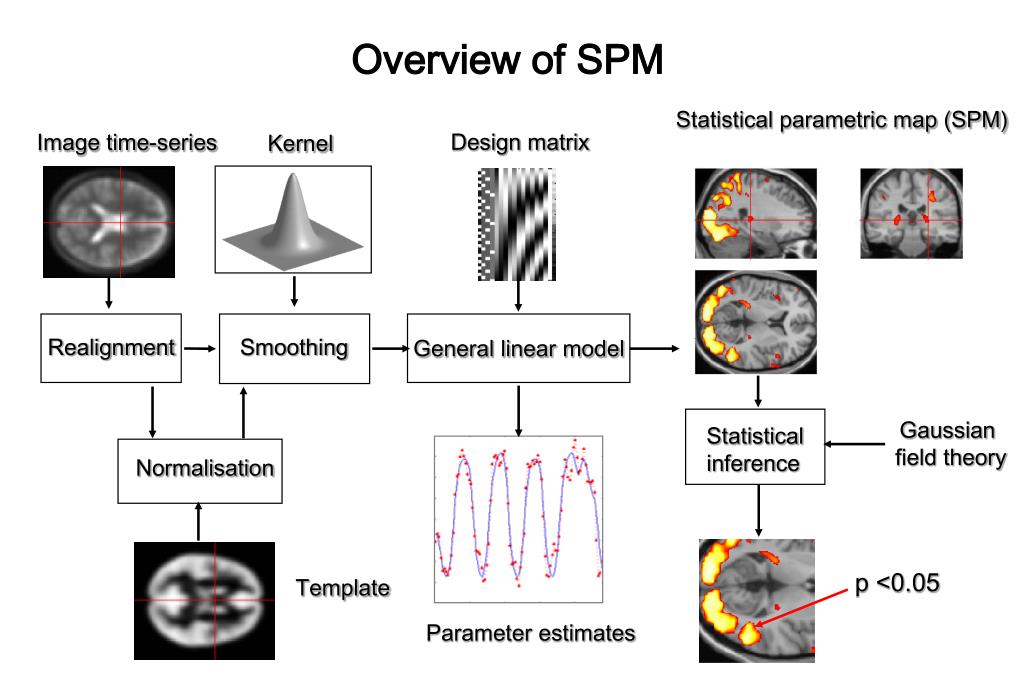 Ppt Experimental Design Of Fmri Studies Powerpoint Presentation Free Ppt Experimental Design Of Fmri Studies Powerpoint Presentation Free