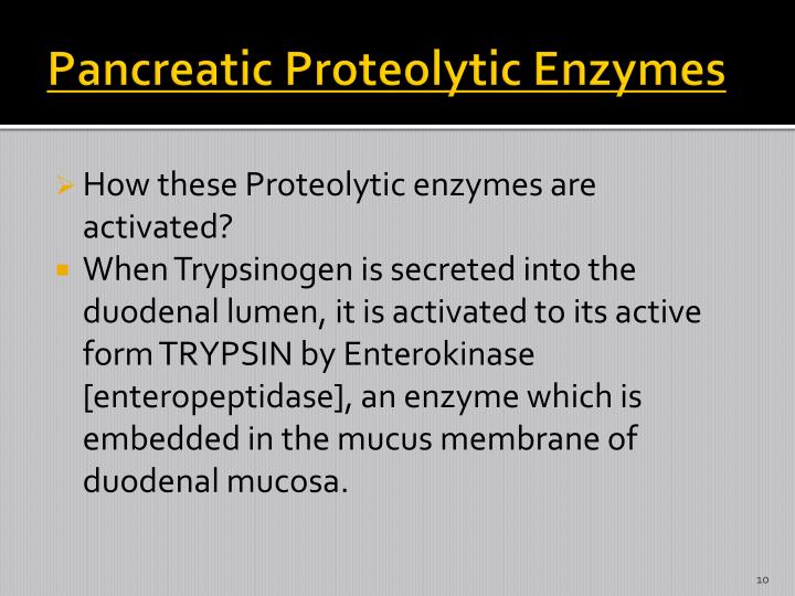 PPT PANCREATIC SECRETION PowerPoint Presentation ID2791438
