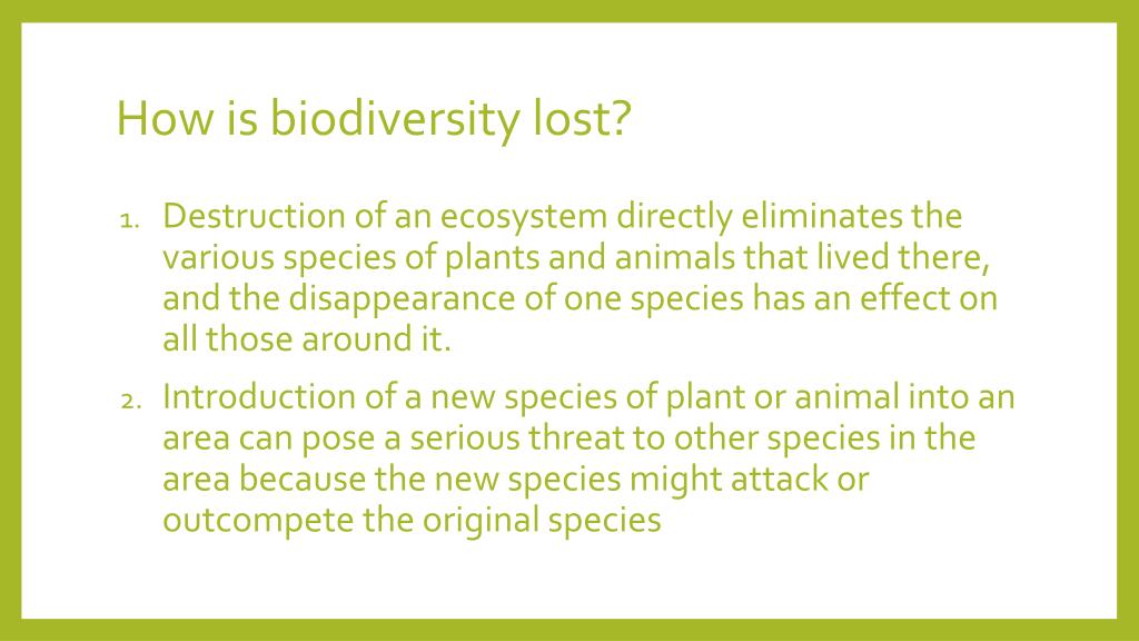 PPT - Biodiversity PowerPoint Presentation, free download - ID:2791553