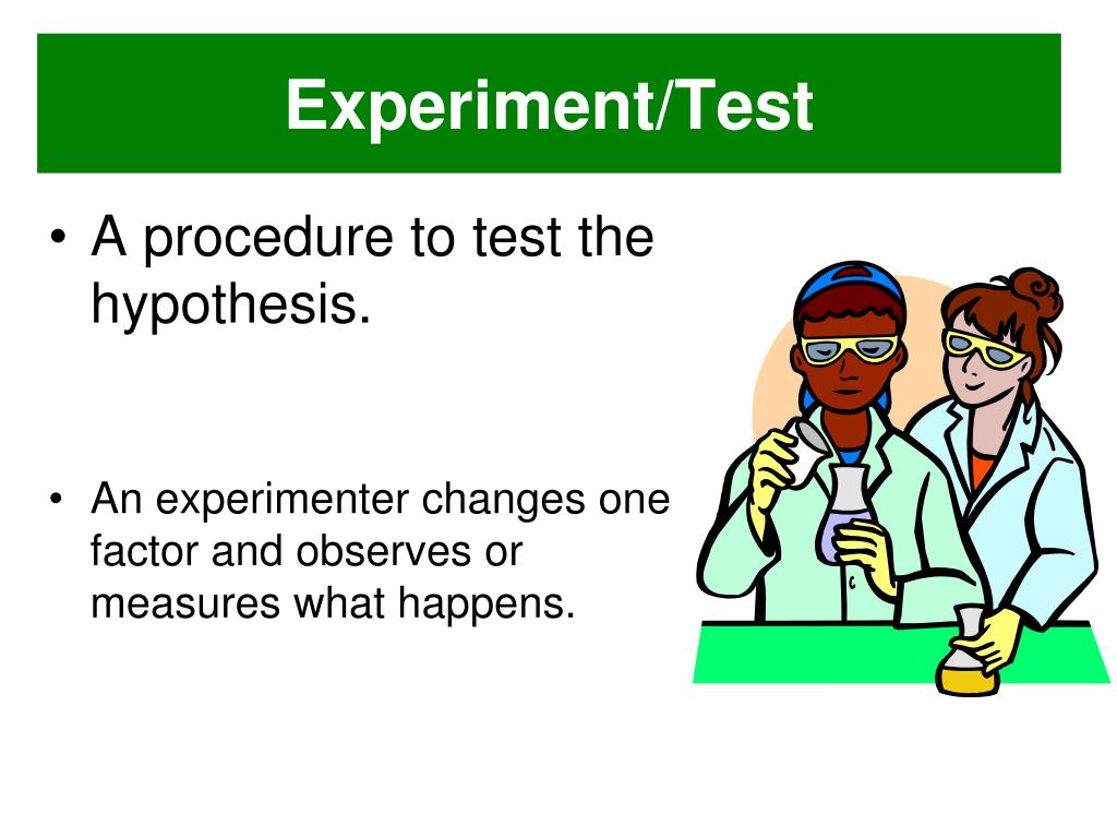 hypothesis in an experiment