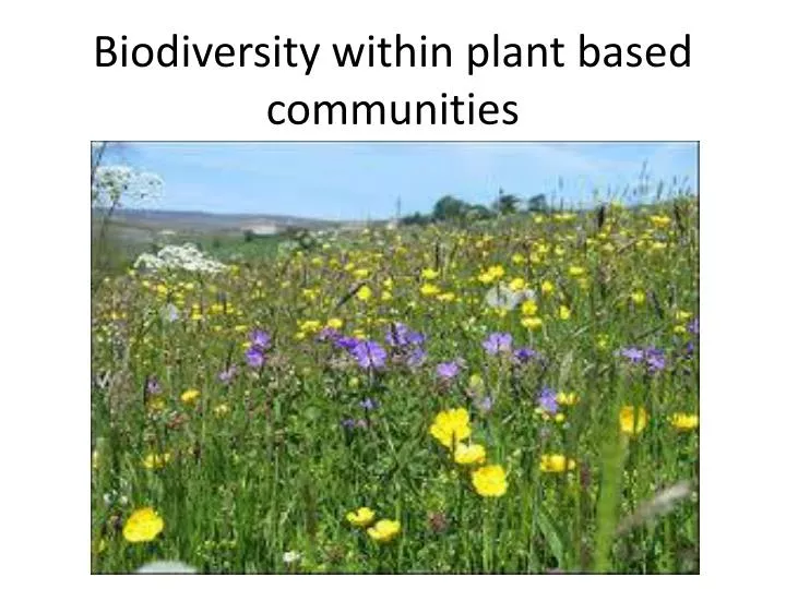 Biodiversity Ppt Template Biodiversity Plants Parts Of A Plant Botany