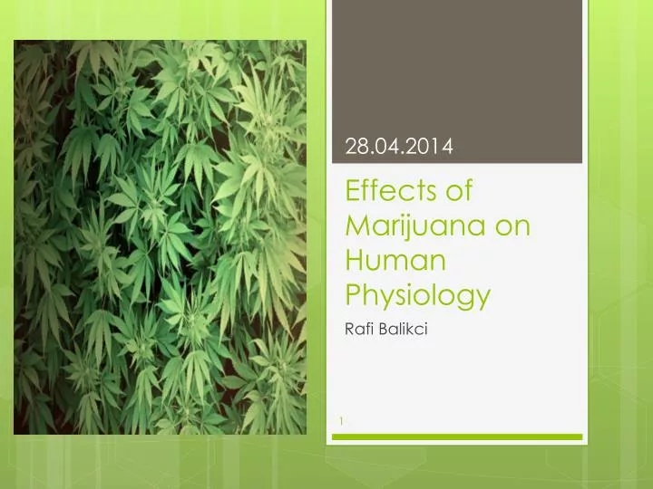 effect of marijuana Long-term effects alcoholism drunk or not amotivational syndrome is the most common side effect of long-term marijuana use marijuana users:. effect of marijuana Long-term effects alcoholism drunk or not amotivational syndrome is the most common side effect of long-term marijuana use marijuana users:.