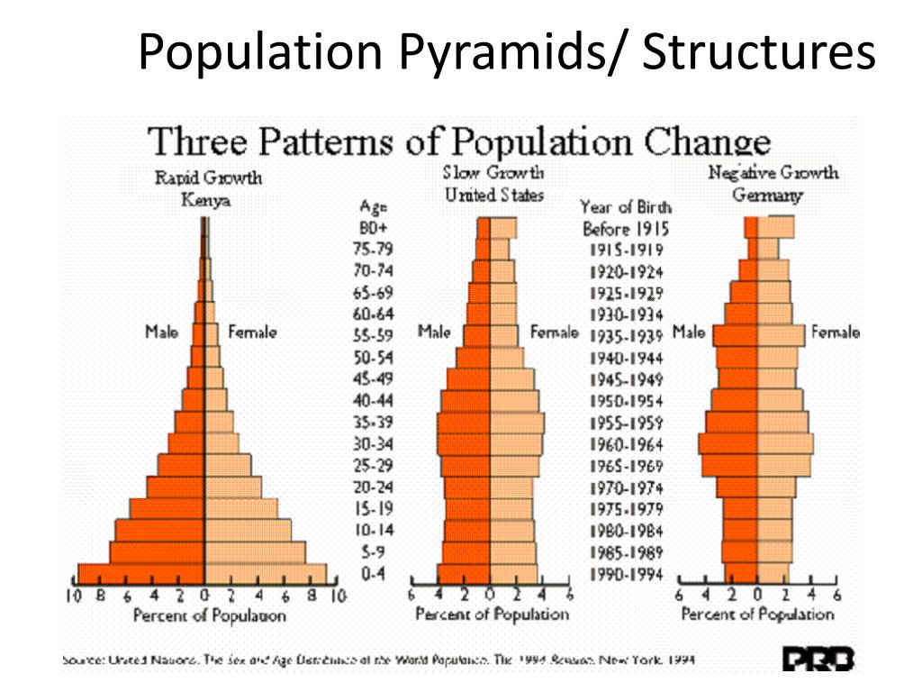 Different Types Of Population Pyramids 6236
